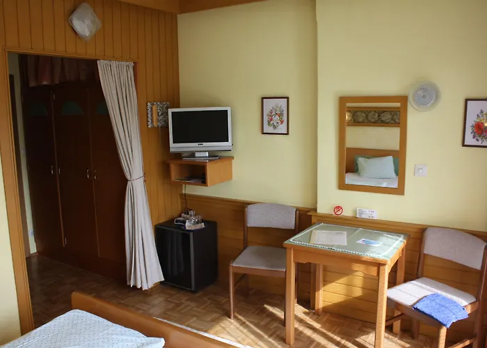 Penzion Zum Muehlrad